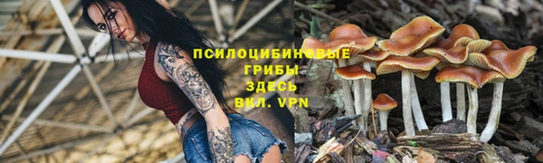 ALPHA PVP Аркадак