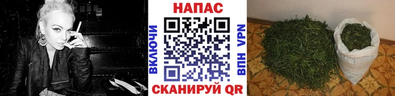 Каннабис гибрид  Колпашево 